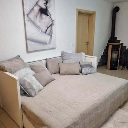 Appartment Im Untergeschoss Freilassing Kültér fotó